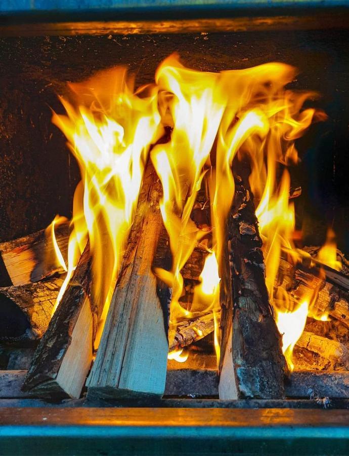 Szarejkowy Glamp *