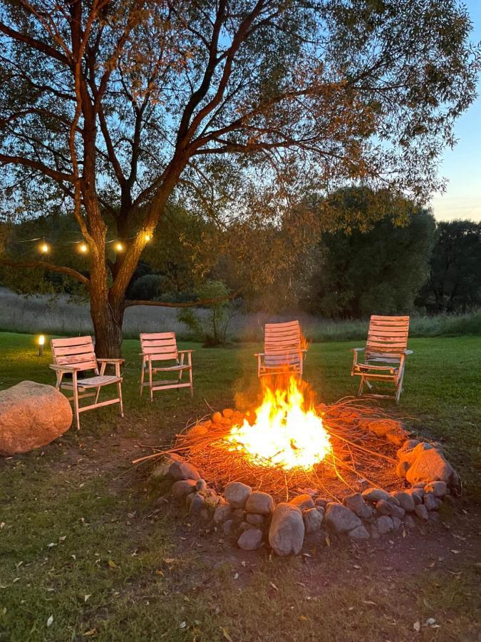 Szarejkowy Glamp *